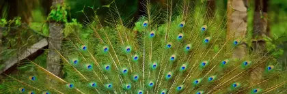 Pasyjne warsztaty wokalne