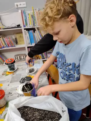 Chłopczyk sypie słonecznik do karmnika.