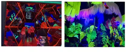 Kolaż zdjęć z wycieczki rodzinnej.