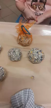 Kule z pożywieniem dla ptaków.