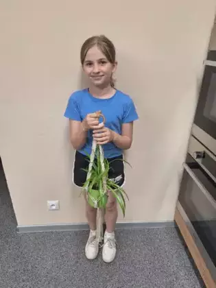 Uczestniczka ze swoim wyplecionym kwietnikiem.