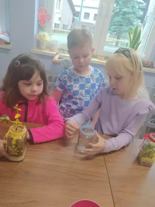 Dzieci sadzą kaktusy w słoikach tworząc prezent dla mamy.