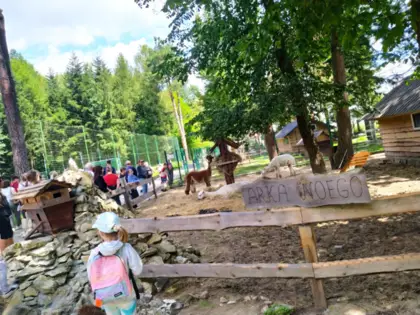 Uczestnicy wycieczki zwiedzają Arkę Noego - mini zoo w Leśniowie.