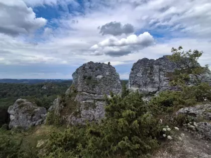 Widok skałek na Górze Zborów.