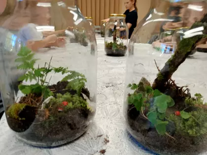 Na stole trzy duże słoje z kompozycją z ziemi, roślinek i gałązek.