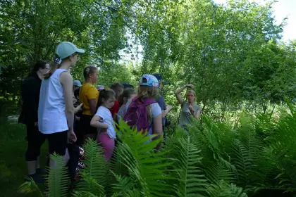 Warsztaty przyrodnicze w lesie. Grupa dzieci w czapkach na głowie patrzy na przewodnika. Zielone krzaki paproci. 