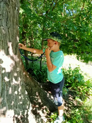 Kilkuletni chłopczyk przykłada stetoskop do pnia drzewa i wykonuje badanie odgłosu drzewa.