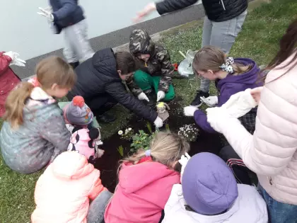 Grupa kilkunastoletnich dzieci sadzi kwiaty na rabatce Wielkanocnej. 