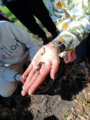 Dwa owady leśne na wyciągniętej dłoni.