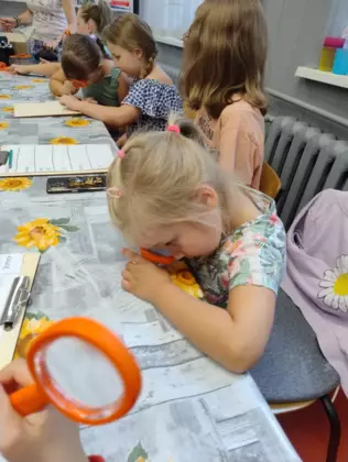 Uczestnicy zajęć przez lupę oglądają owady.