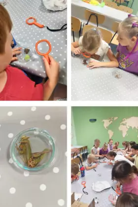 Kolaż zdjęć z zajęć Mikrokosmos wokół nas – poznajemy owady.