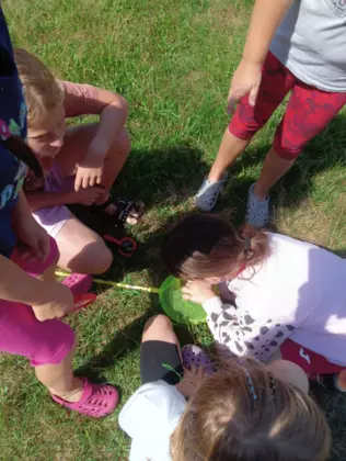 Dzieci szukają w trawie owadów i innych zwierzątek.