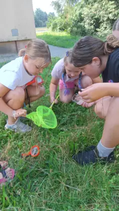 Dziewczyny w trawie szukają owadów. Obok leży siatka na owady i pojemnik.