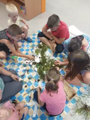 Uczestnicy zajęć w trakcie robienia makiety lasu.