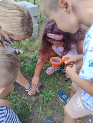Dzieci oglądają przez lupę zwierzątka żyjące w ziemi.