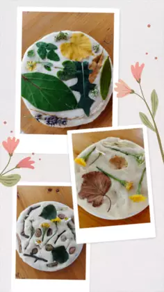 Rośliny zebrane przez dzieci.