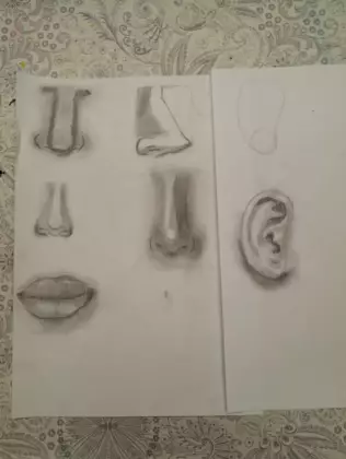 Szkic części twarzy.