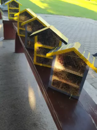 Na drewnianej, brązowej ławce stoi pięć drewnianych domków dla owadów w kolorach: żółty, niebieski i czarny.