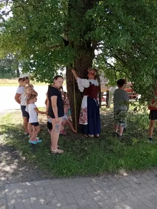 Na dworze przy dużym drzewie pani w stroju regionalnym ludowym mierzy drzewo miarą krawiecką. Wokół stoją dzieci w wieku szkolnym.