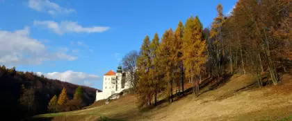 Biblioteczne wycieczki