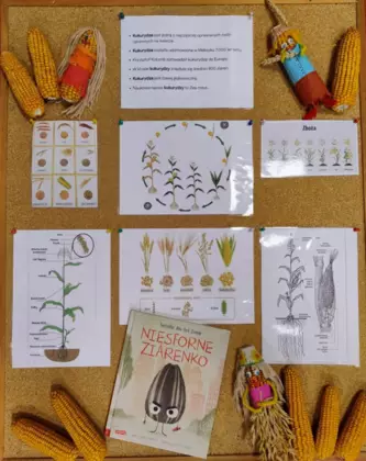 Gazetka biblioteczna.