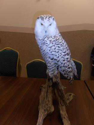 Spotkanie z przyrodnikiem