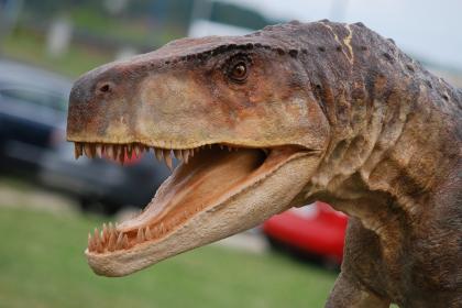 Bieg tropami dinozaurów dla dzieci