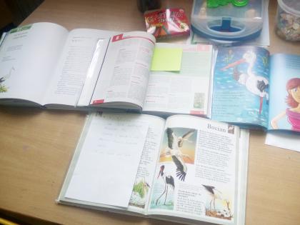 Tydzień bibliotek w lisowicach