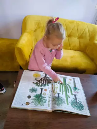 Dziewczynka przegląda książke poświęconą drzewom.