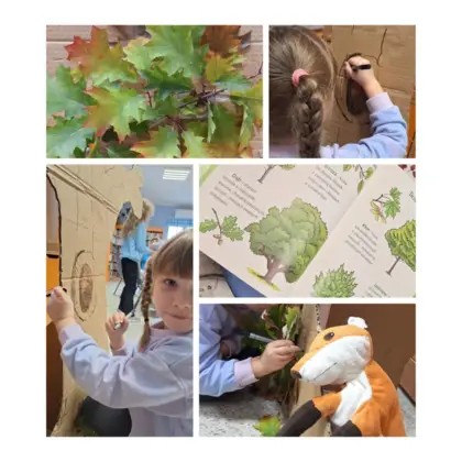 Mozaika zdjęć z dziewczynką rysującą dziuplę, z kolorowymi liśćmi, z otwartą książką z drzewami i maskotką liskiem.