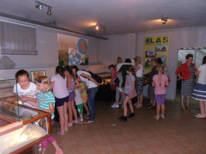 Wizyta w Muzeum Paleontologicznym